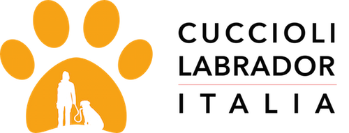 Cuccioli Labrador Italia